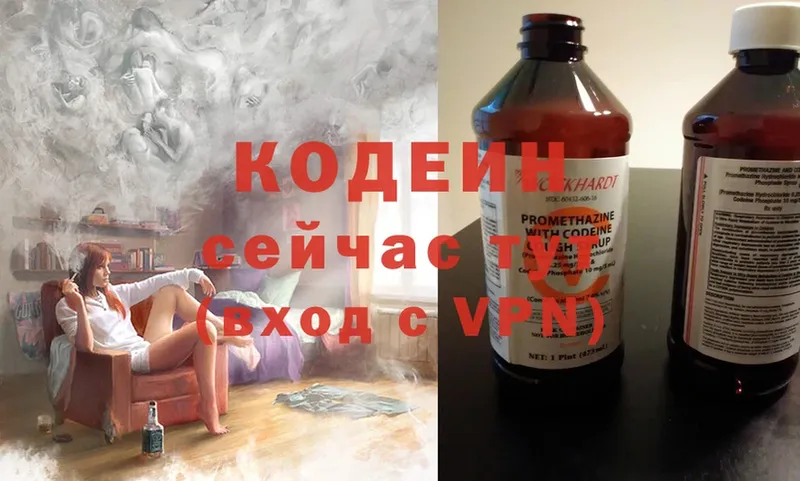 Кодеиновый сироп Lean Purple Drank  где купить наркотик  Давлеканово 